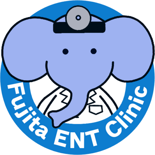 ふじた耳鼻咽喉科クリニック